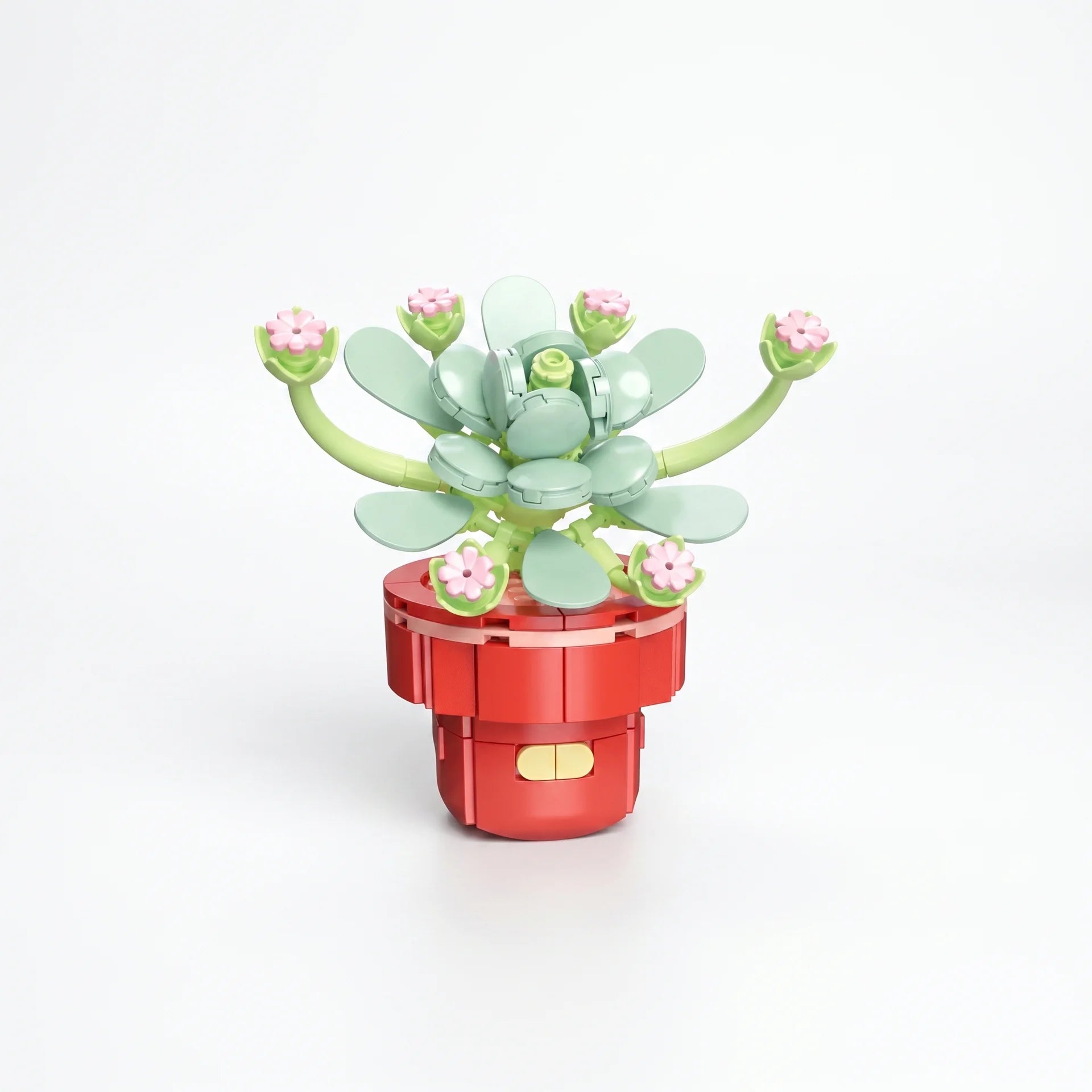 Zuanma Flowers – Mini Botanical Collection (Pot Transformable) - Librairie Oxford City