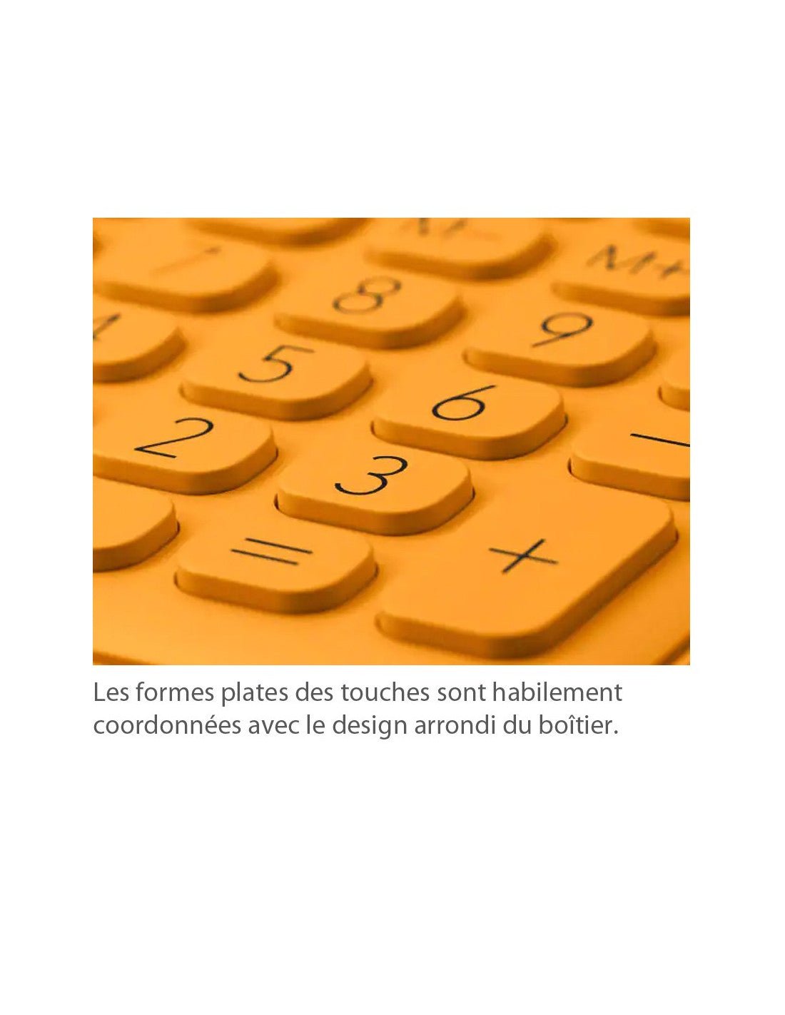 CASIO MS - 20UC Calculatrice Basique Bleue - Librairie Oxford City
