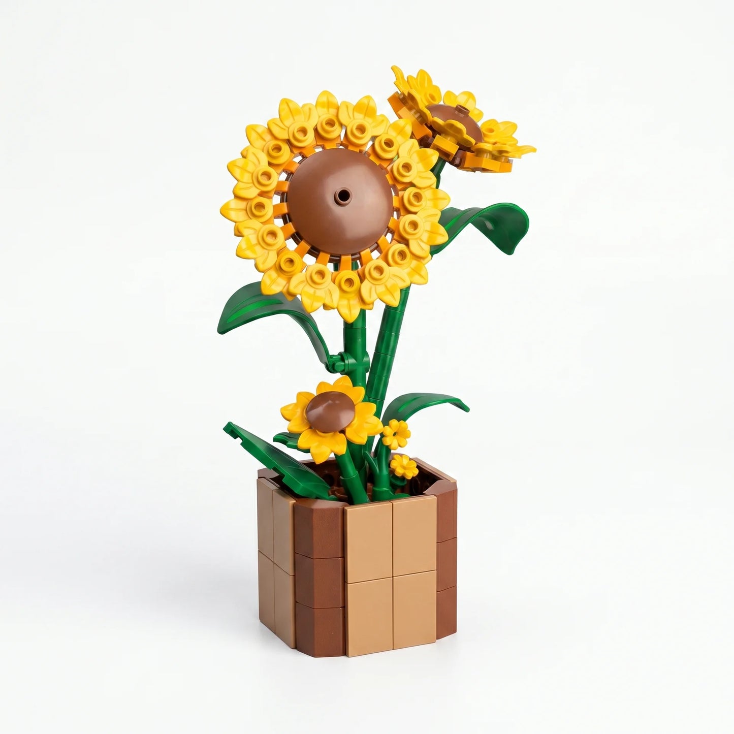 MJ Potted Flower Series – Collection Fleurs en Pot - Librairie Oxford City