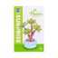 Roses en Briques – Série Flowers Building Block - Librairie Oxford City