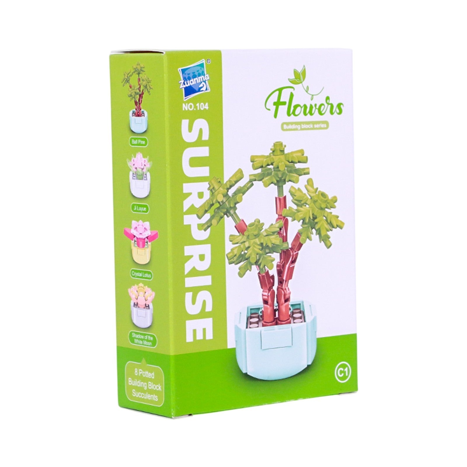 Roses en Briques – Série Flowers Building Block - Librairie Oxford City
