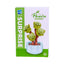 Roses en Briques – Série Flowers Building Block - Librairie Oxford City