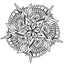 Livre de Coloriage Mandala – Animaux & Motifs Apaisants - Librairie Oxford City