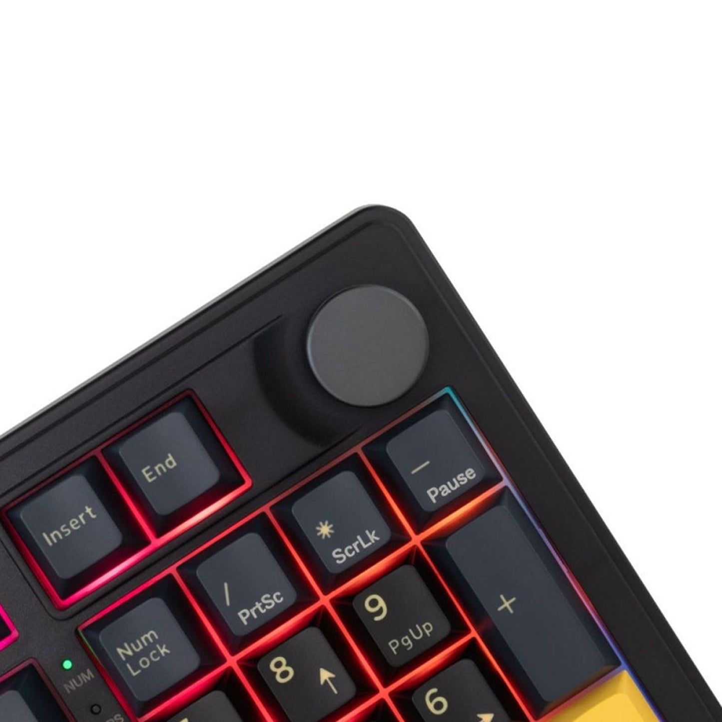 WHITE SHARK EXCALIBUR KTT Hot - Swap - BLACK / QWERTY - Librairie Oxford City