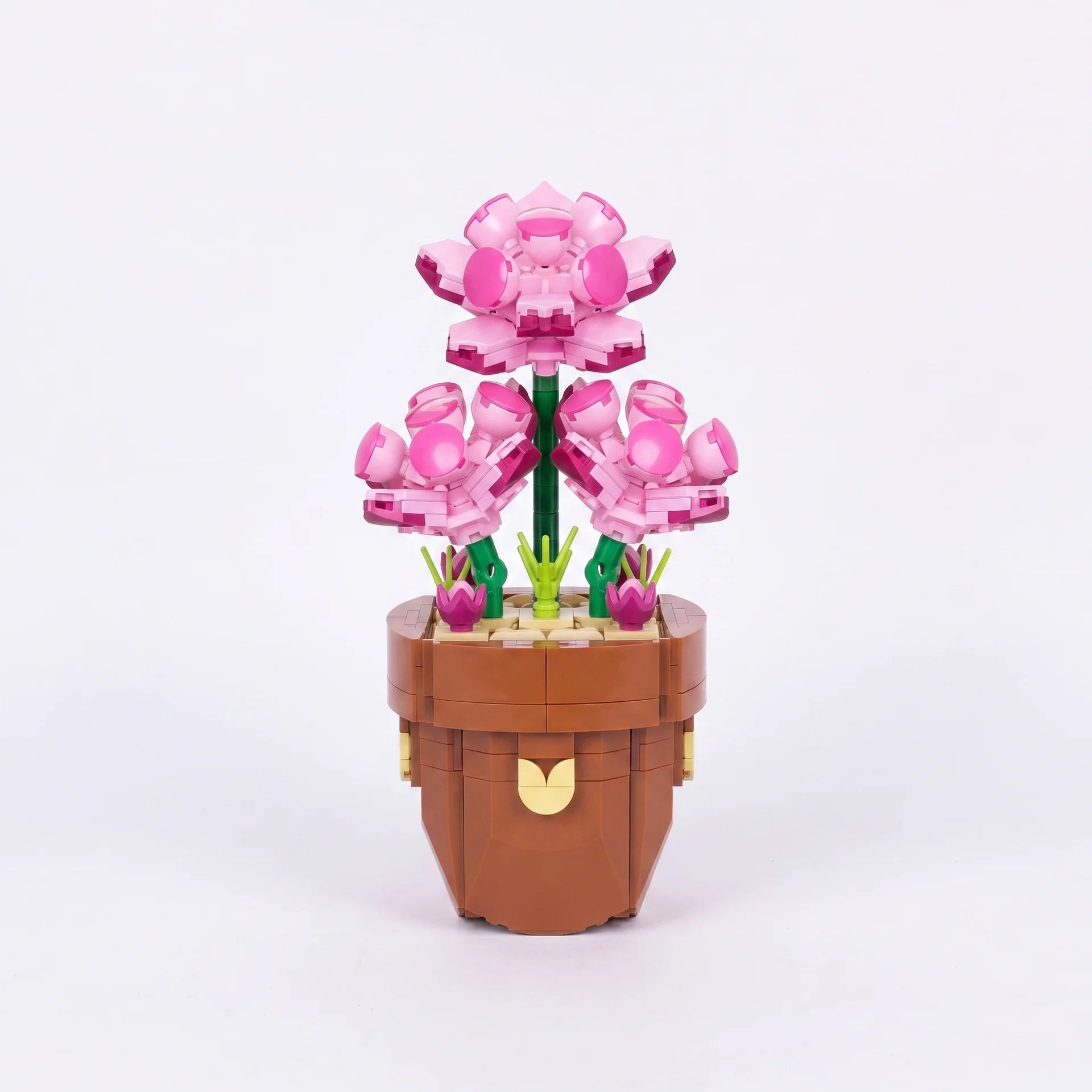 Zuanma Flowers – Botanical Collection - Librairie Oxford City