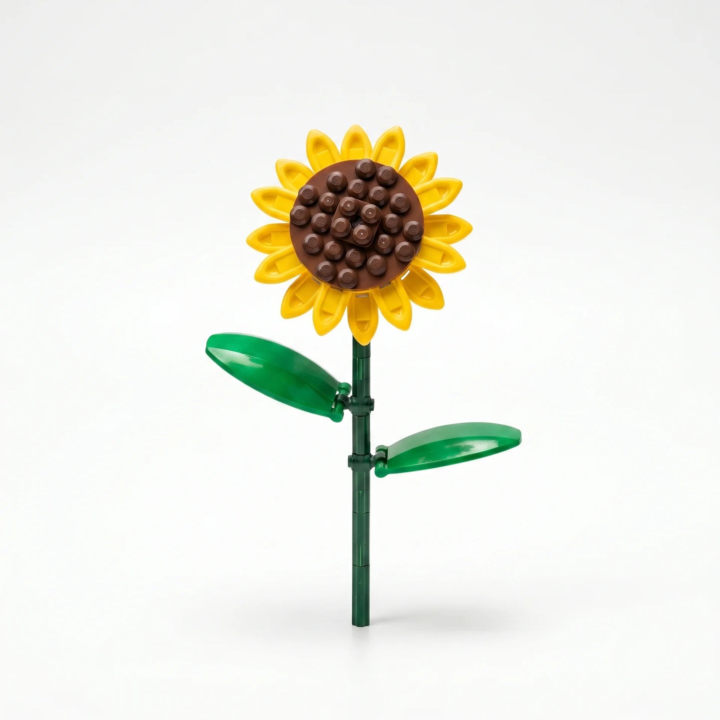 Sembo Block Florist – Collection Fleurs sur Tige - Librairie Oxford City