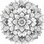 Livre de Coloriage Mandala – Animaux & Motifs Apaisants - Librairie Oxford City