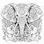 Livre de Coloriage Mandala – Animaux & Motifs Apaisants - Librairie Oxford City