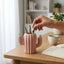 Porte - Stylo Cactus Décoratif — Rose / Blanc - Librairie Oxford City