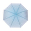 Parapluie Junior Transparent — Dôme 8 Panneaux - Librairie Oxford City